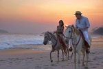 Horseback Riding in Djerba Lagoon