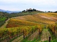 Private Orvieto and Tuscany Wine Tour from Rome