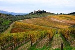 Private Orvieto and Tuscany Wine Tour from Rome