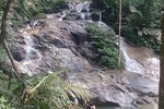 "Waterfall In The Rainforest" Templer Park & Batu Caves