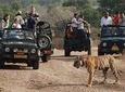 Golden Triangle Tour with Ranthambore National Park