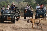 Golden Triangle Tour with Ranthambore National Park
