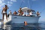 Boat fishing, boat tours, boat party