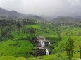 Sri Lanka 7 Days Sightseeing Tour Package