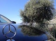 Transfer From Naples To Sorrento