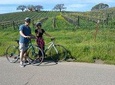 Santa Ynez Valley Biking and Tasting Tour