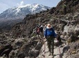 Mount Kilimanjaro Day Trip Hiking from Arusha or Moshi