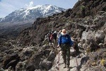 Mount Kilimanjaro Day Trip Hiking from Arusha or Moshi