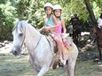 Horseback Riding Tour