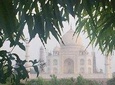 Golden Triangle 3 Days