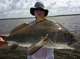 1/2 Day Morning Charter Fishing Naples Marco Everglades Sanibel 
