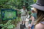 2 Day Daintree Cape Tribulation Bloomfield track and Chillagoe Caves & Outback
