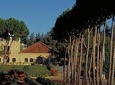 Private Tour - Full Day Wine Tasting Tour - Day Trip from Beirut