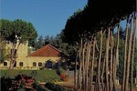 Private Tour - Full Day Wine Tasting Tour - Day Trip from Beirut