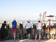 Montjuic Panoramic Segway Tour