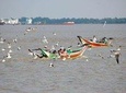 Full Day Tour of Rural Dala City