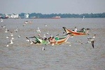 Full Day Tour of Rural Dala City