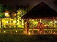 Romantic Dinning On The Paddy Field- Hoi An Half Day Private Tour