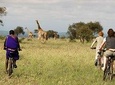 3 Days 2 Nights Tsavo East , Saltlick Sgr Safari Package