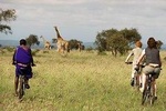 3 Days 2 Nights Tsavo East , Saltlick Sgr Safari Package