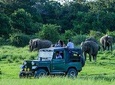 2 Days Tour to Udawalawe Safari & Galle Dutch Fort From Bentota & Surroundings- All Inclusive