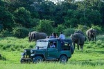 2 Days Tour to Udawalawe Safari & Galle Dutch Fort From Bentota & Surroundings- All Inclusive
