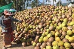 Essence of Samui excursion from Nathon Port