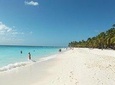 Saona: un paraíso en el caribe. Ven y disfruta de esta bella isla y sus playas.
