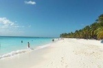 Saona: un paraíso en el caribe. Ven y disfruta de esta bella isla y sus playas.