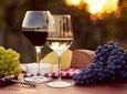 2 Winery in 1 Day The Best Experience