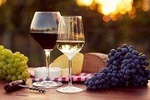 2 Winery in 1 Day The Best Experience