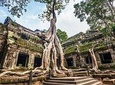 SIEM REAP_ PHNOM PENH 5 DAYS