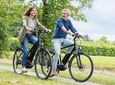 Wine Country E-Bike Guided Tour