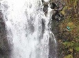 Waterfall Rappelling Adventure: 120 Foot Drop, 15 Minutes from Hilo