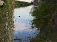 Nature, Wildlife and Humans Story Tour of San José del Cabo
