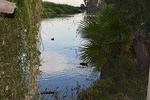 Nature, Wildlife and Humans Story Tour of San José del Cabo