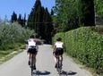 Full day Race bike rental