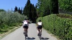 Full day Race bike rental