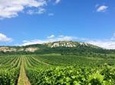 Ultimate private wine tasting experience from Prague to Moravia (3 days)