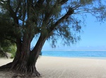 Visit Palm Grove's Beach, Rarotonga, Cook Islands