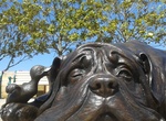 See The Hairy Maclary and Friends Sculptures, Tauranga, New Zealand