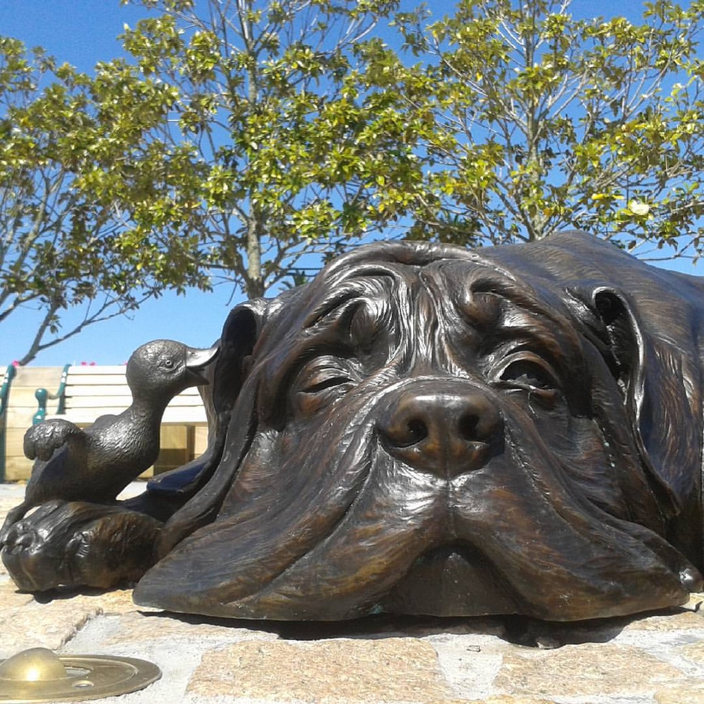 The Hairy Maclary and Friends Sculptures