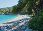 Visit Kastani Beach (Skopelos), Greece