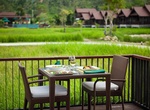 Eat at Farmer's Restaurant & Bar, Ko Samui, Thailand