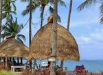 Have Drinks at Coco Tam's, Ko Samui, Thailand