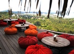 Eat & Drink at Jungle Club, Ko Samui, Thailand