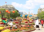 Attend Tết Celebration