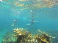 Snorkeling on The Caribbean side of Panama