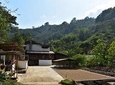 Organic Coffee Tour and Waterfalls in Minca