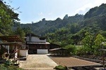 Organic Coffee Tour and Waterfalls in Minca